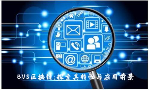BVS区块链：探索其特性与应用前景