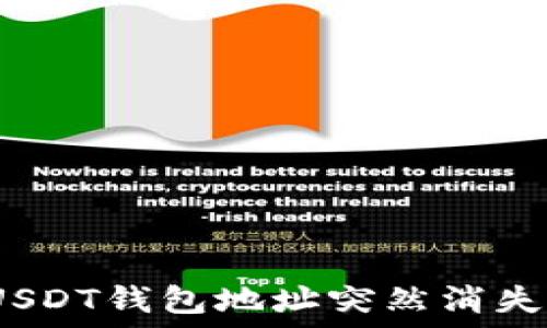   
如何应对：USDT钱包地址突然消失的应急指南