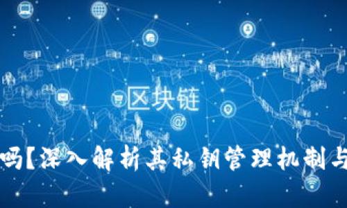 tpWallet安全吗？深入解析其私钥管理机制与用户隐私保护