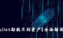 提币到tpWallet却找不到资产？全面解析与解决方案