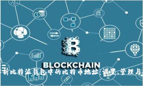 : 全面解析比特派钱包中的比特币地址：设置、管理与安全指南